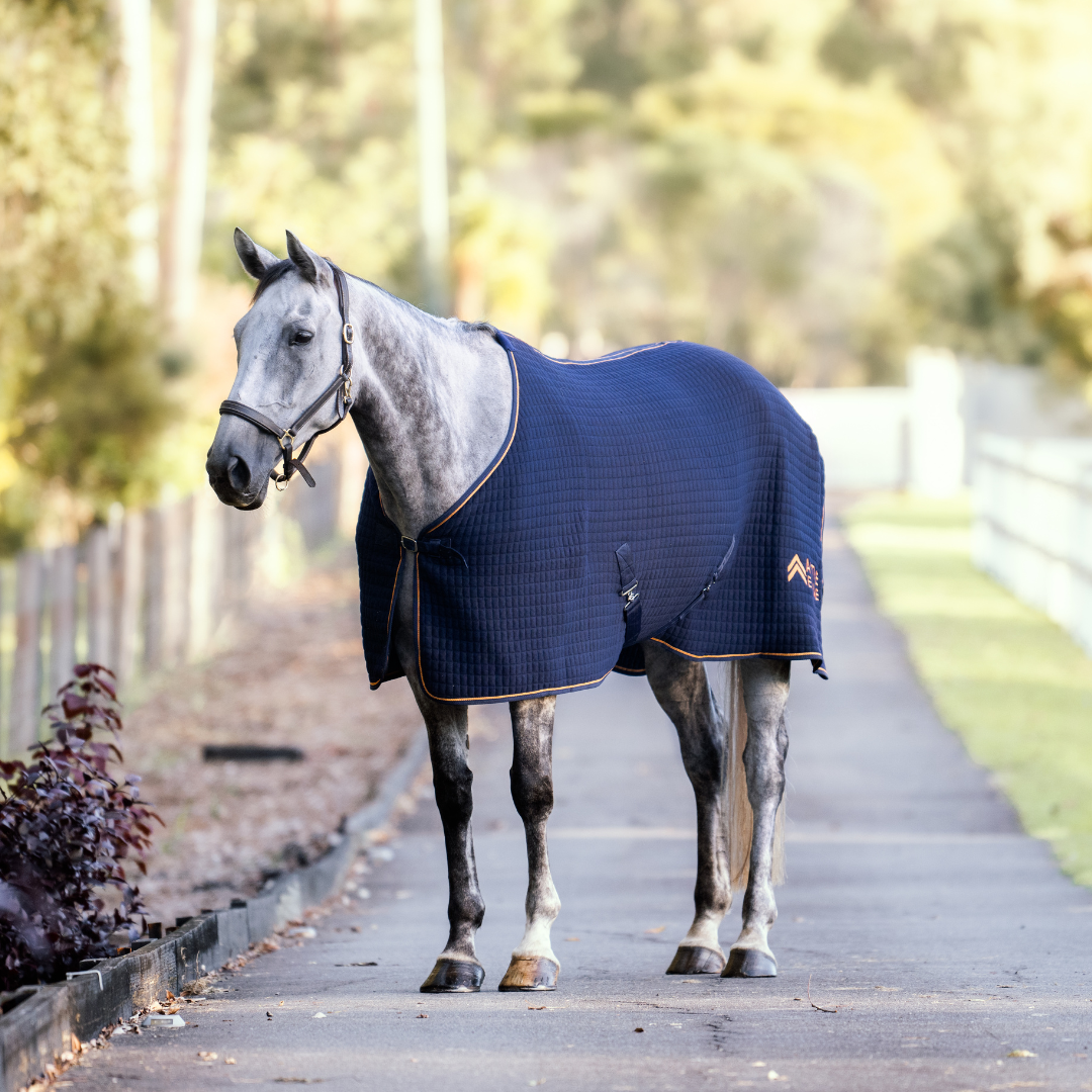 Thermotex Horse Rug | Active Equine