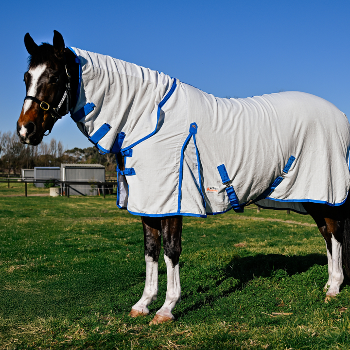 AE Deluxe Ripstop Flag Combo Horse Rug