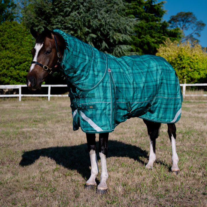 AE Freedom Detach-a-neck Combo 0g Rainsheet - Active Equine