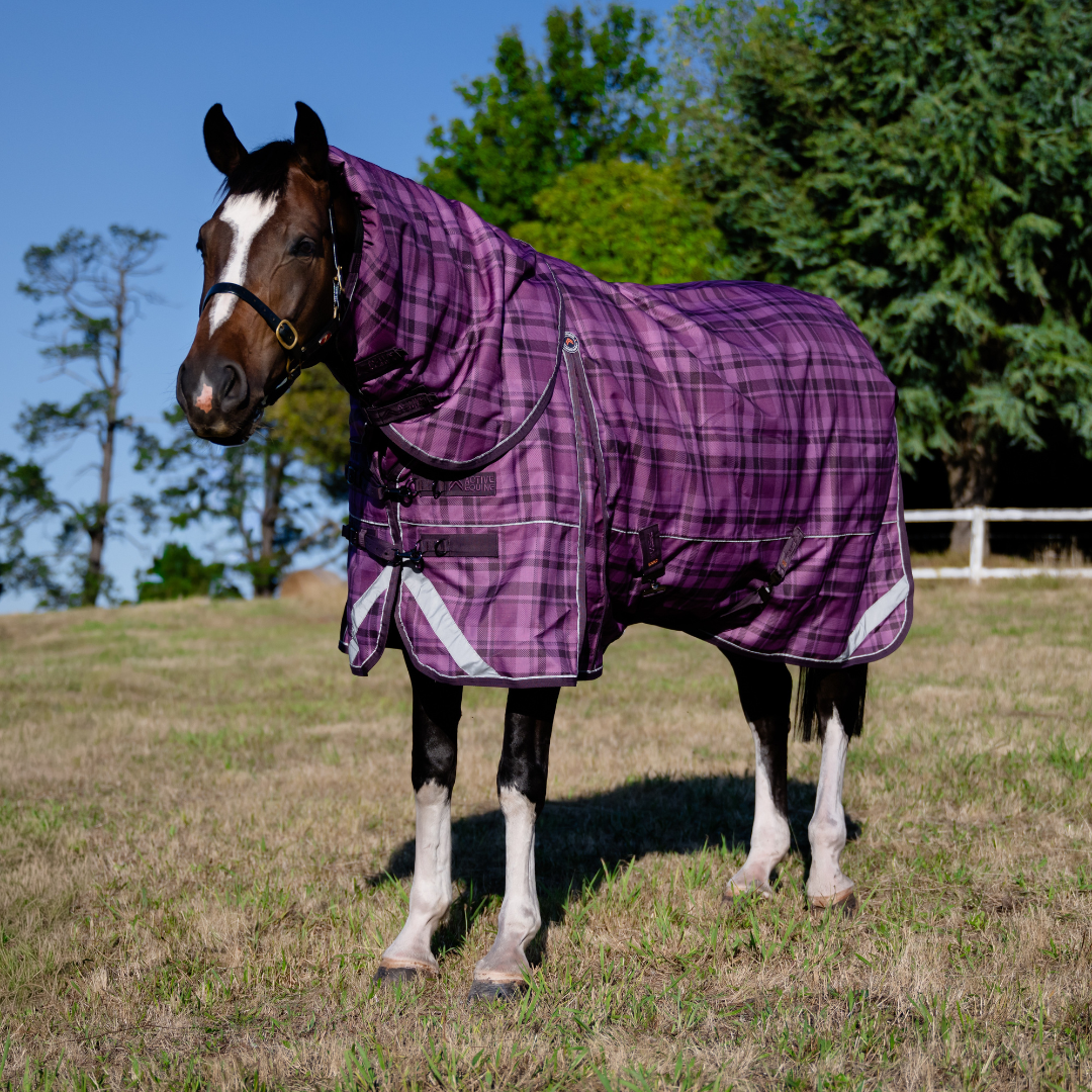 AE Freedom Detach-a-neck Combo 50g - Active Equine