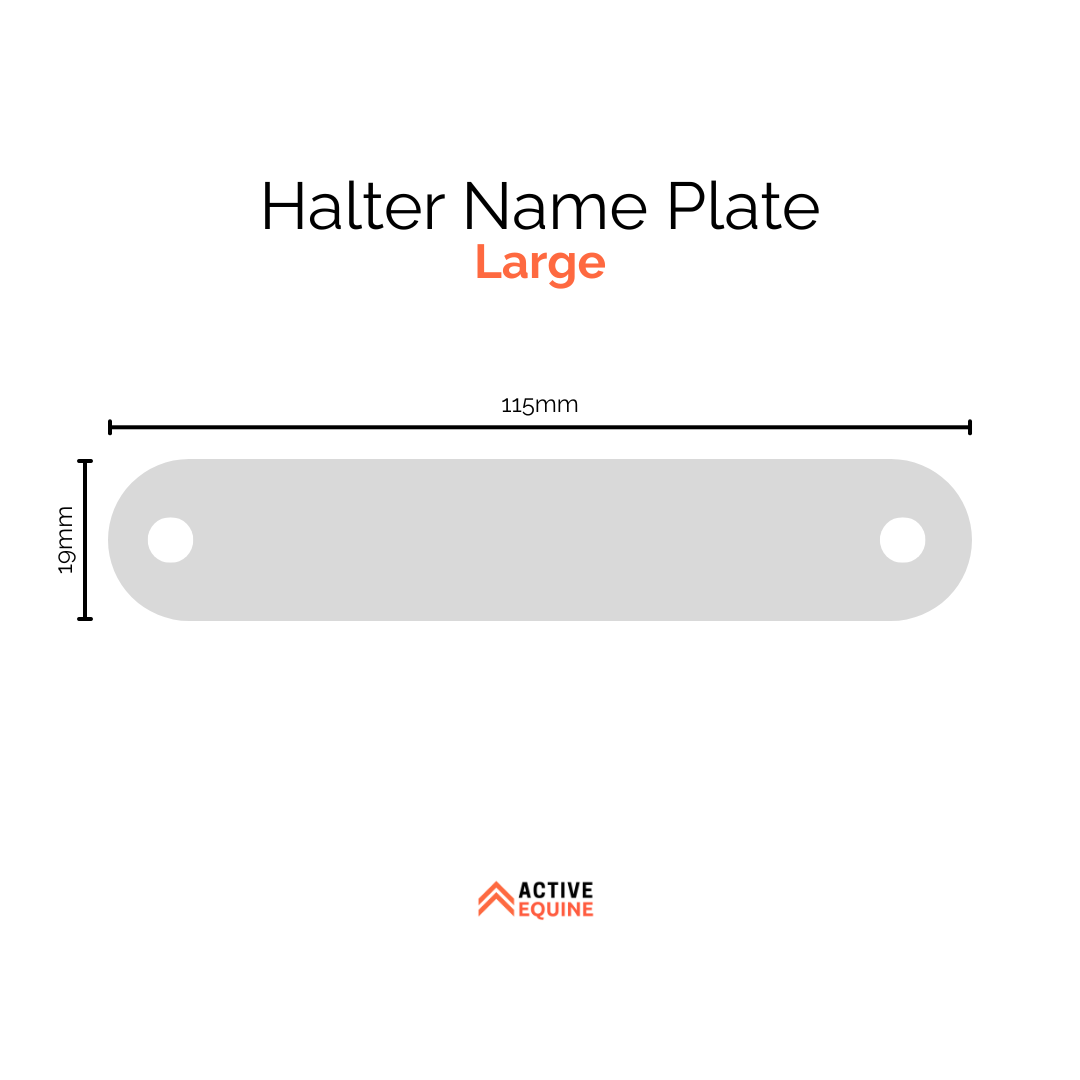 Engraved Halter Name Plate (large)
