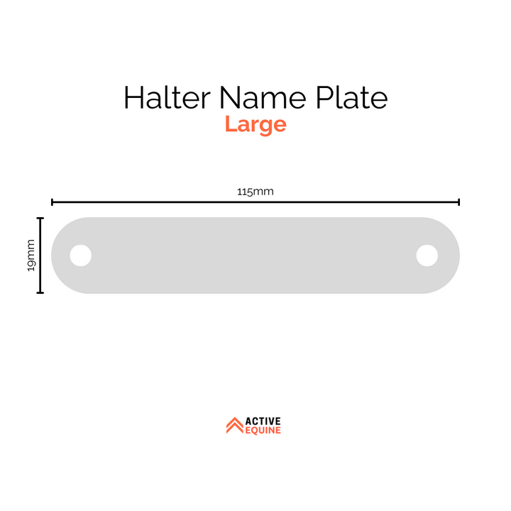 Engraved Halter Name Plate (large)