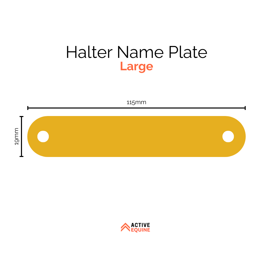 Engraved Halter Name Plate (large)