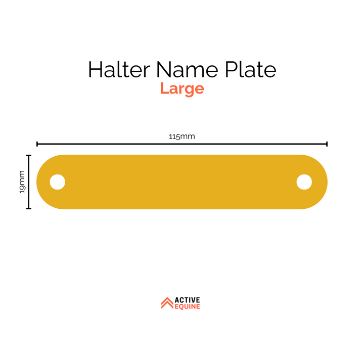 Engraved Halter Name Plate (large)