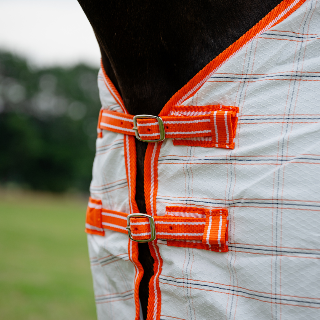 AE Deluxe Hybrid Combo (Orange) - Active Equine