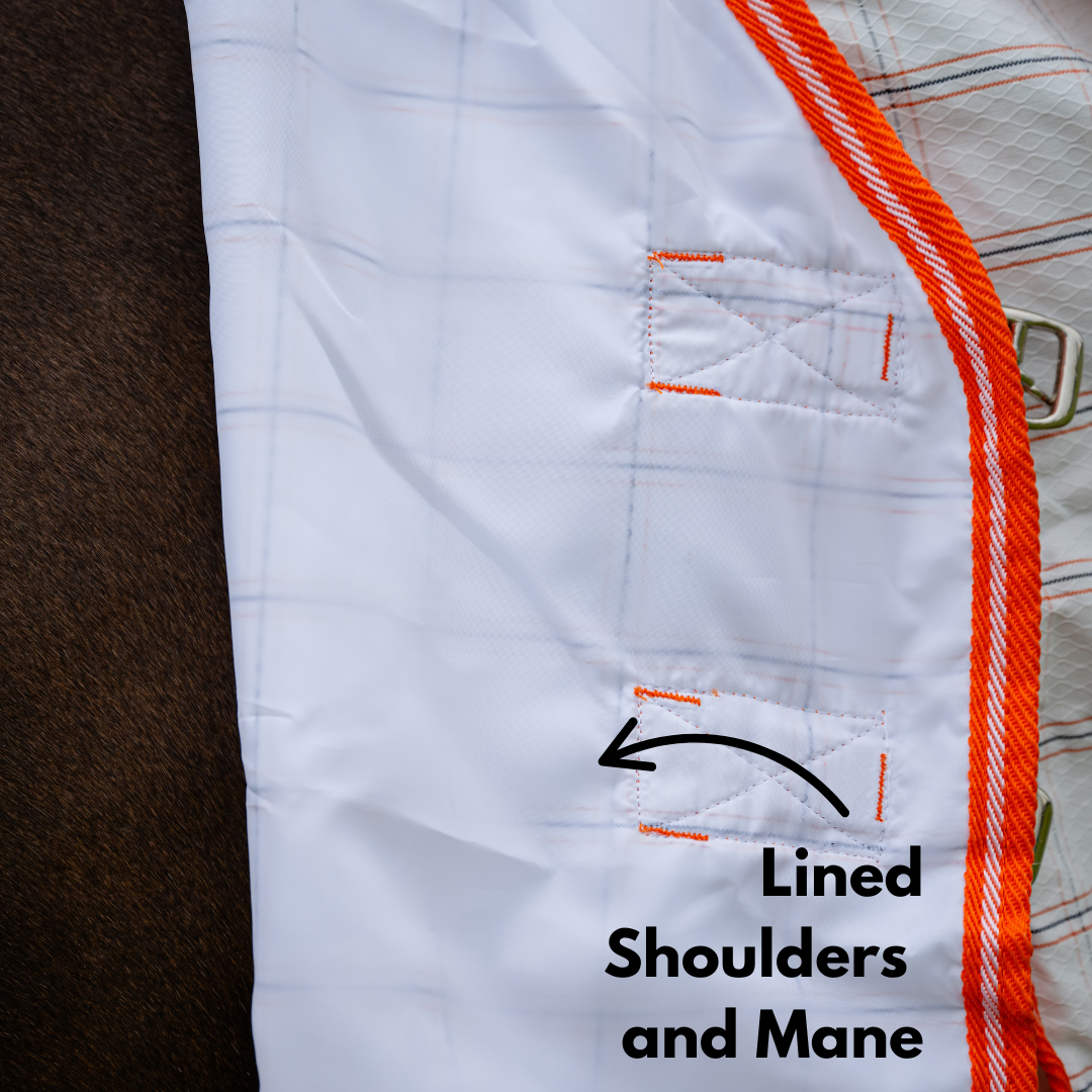 AE Deluxe Hybrid Combo (Orange) - Active Equine