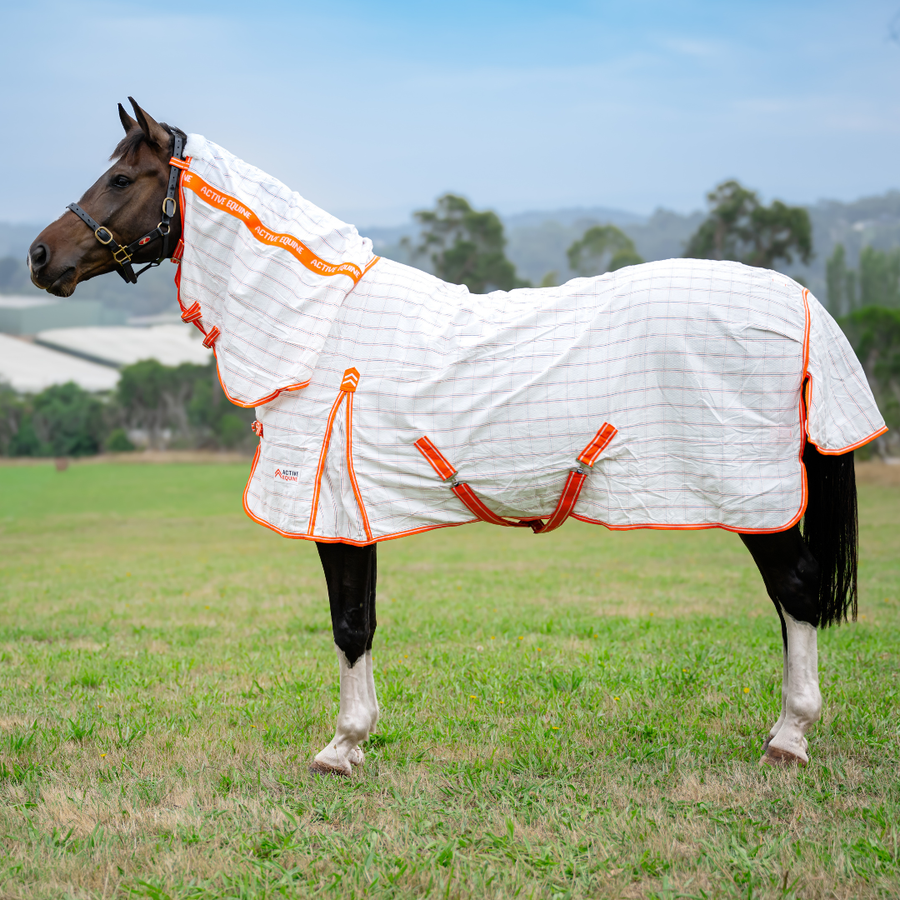 AE Deluxe Ripstop Combo (Orange) - Active Equine