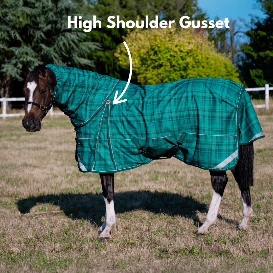AE Freedom Detach-a-neck Combo 0g Rainsheet - Active Equine