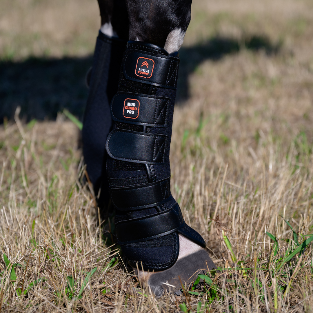 Mud Guard Pro | Mud Fever Turnout Boots (set of 2)