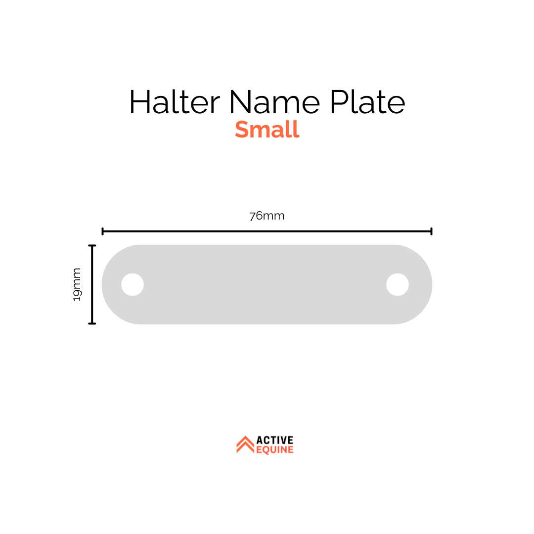 Engraved Halter Name Plate (small)