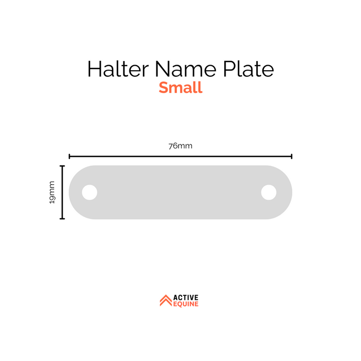 Engraved Halter Name Plate (small)