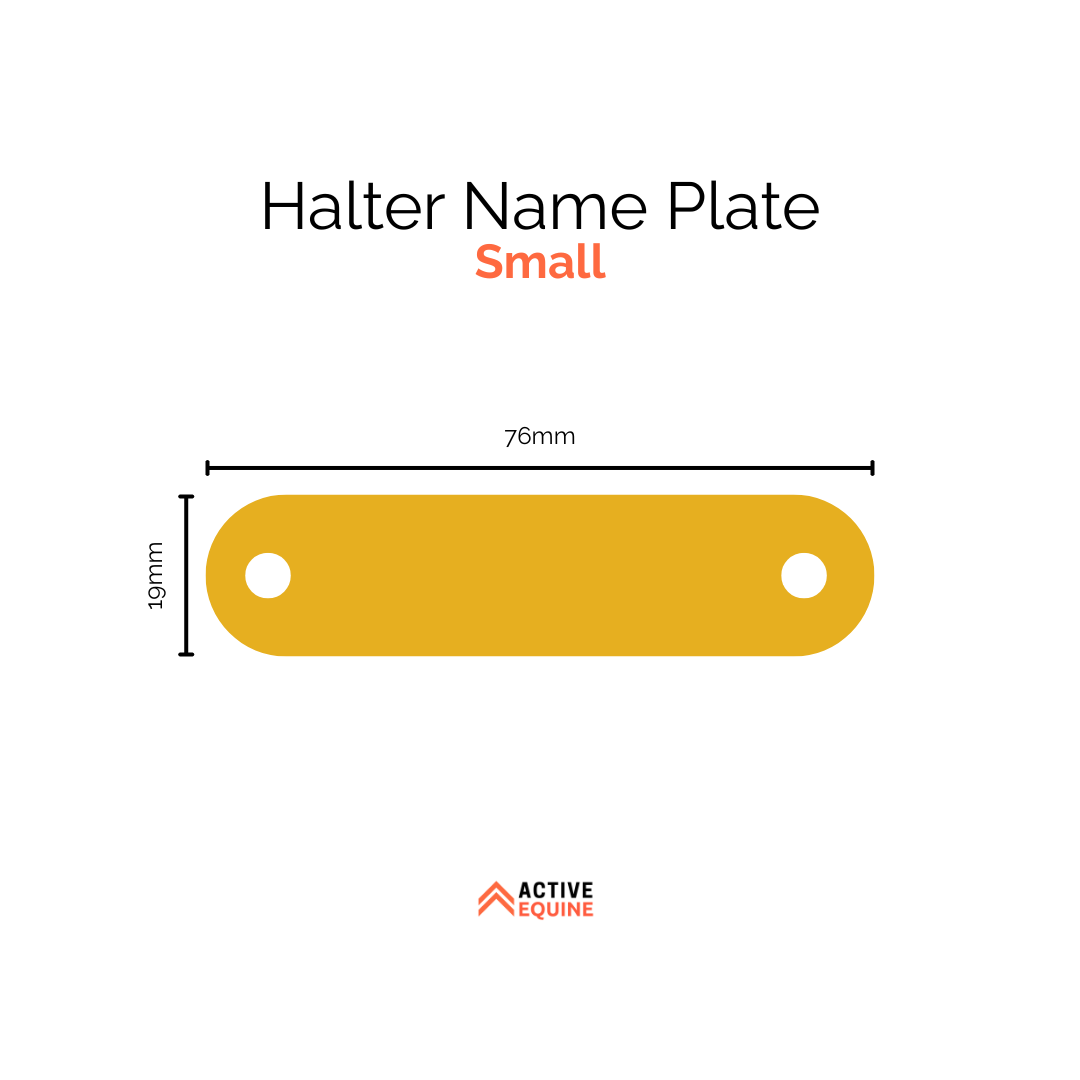 Engraved Halter Name Plate (small)