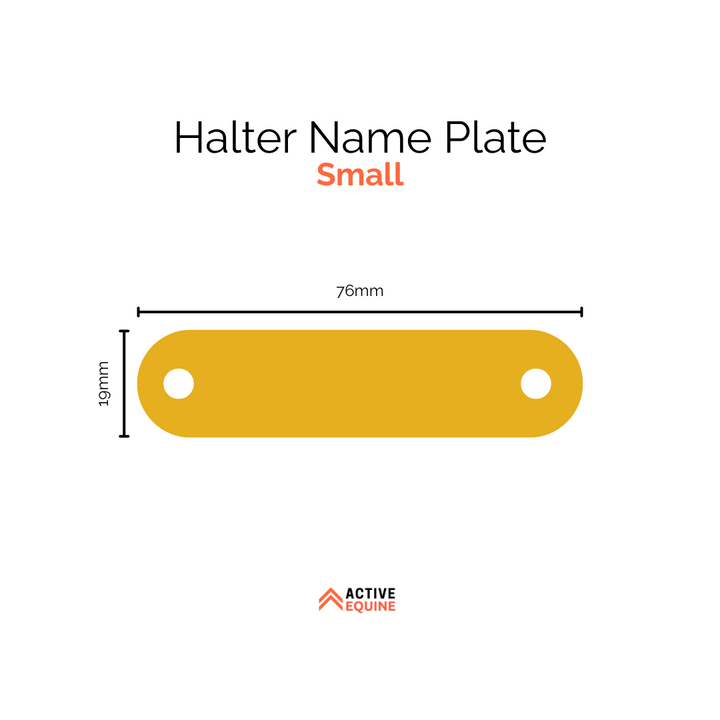 Engraved Halter Name Plate (small)