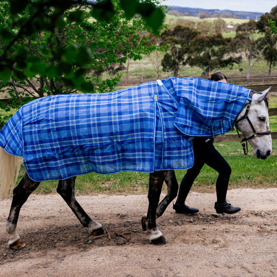 PVC Shade Mesh Combo Horse Rug