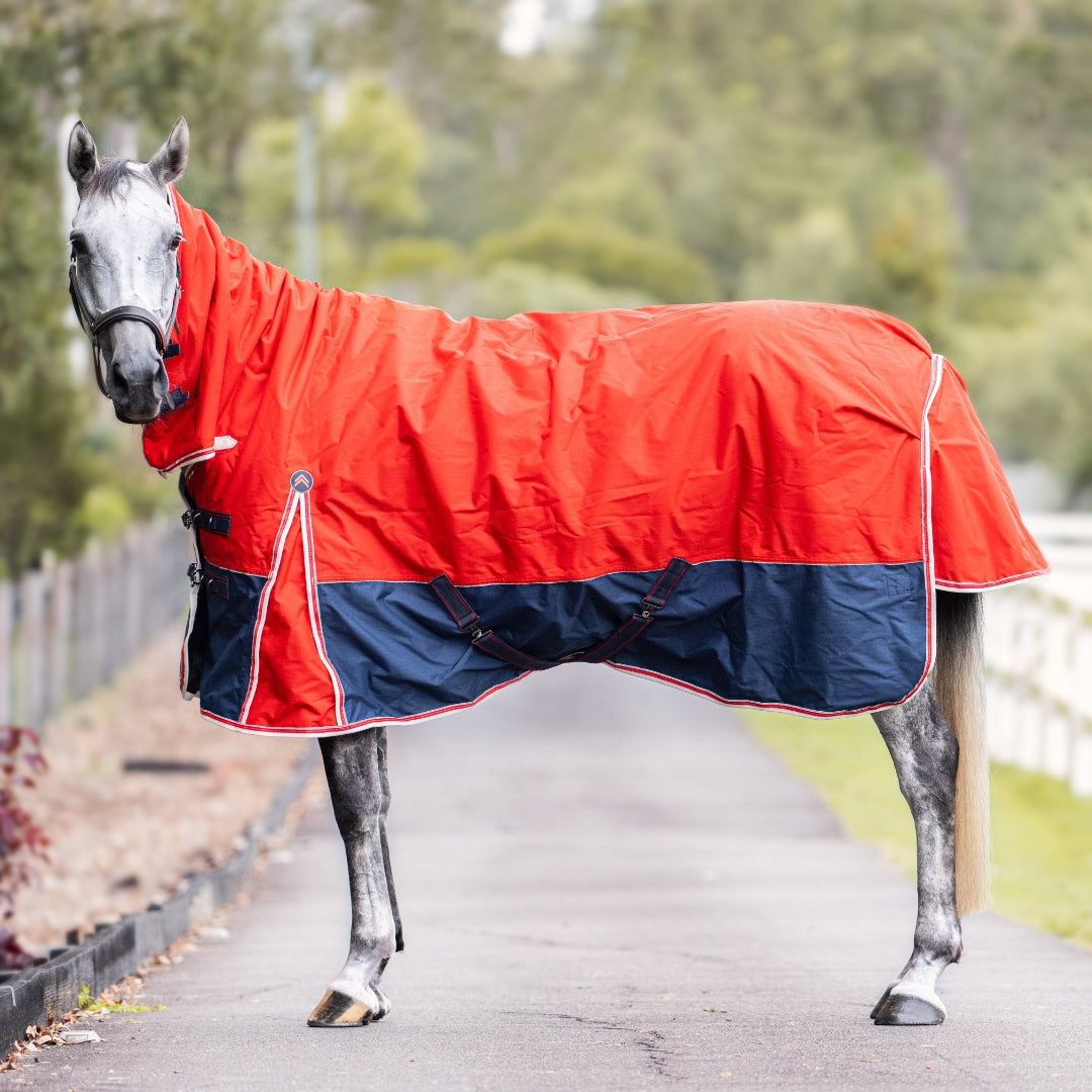 Horse Gear Sale