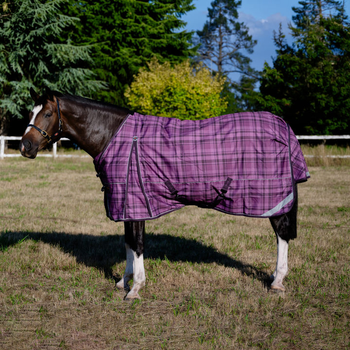 AE Freedom Detach-a-neck Combo 50g - Active Equine