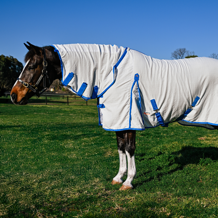 AE Deluxe Ripstop Flag Combo Horse Rug