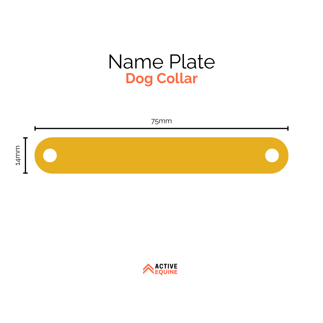 Engraved Dog Collar Name Plate