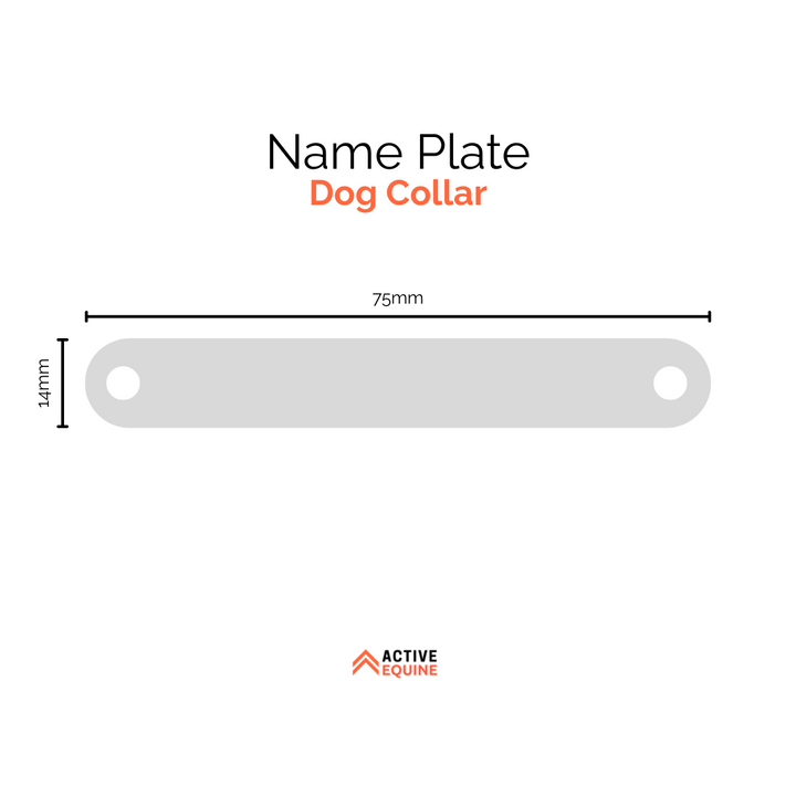 Engraved Dog Collar Name Plate