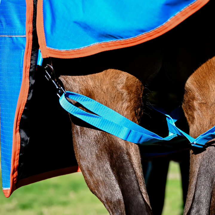 AE StormShield 0g Detachable Neck Rainsheet Combo - Active Equine