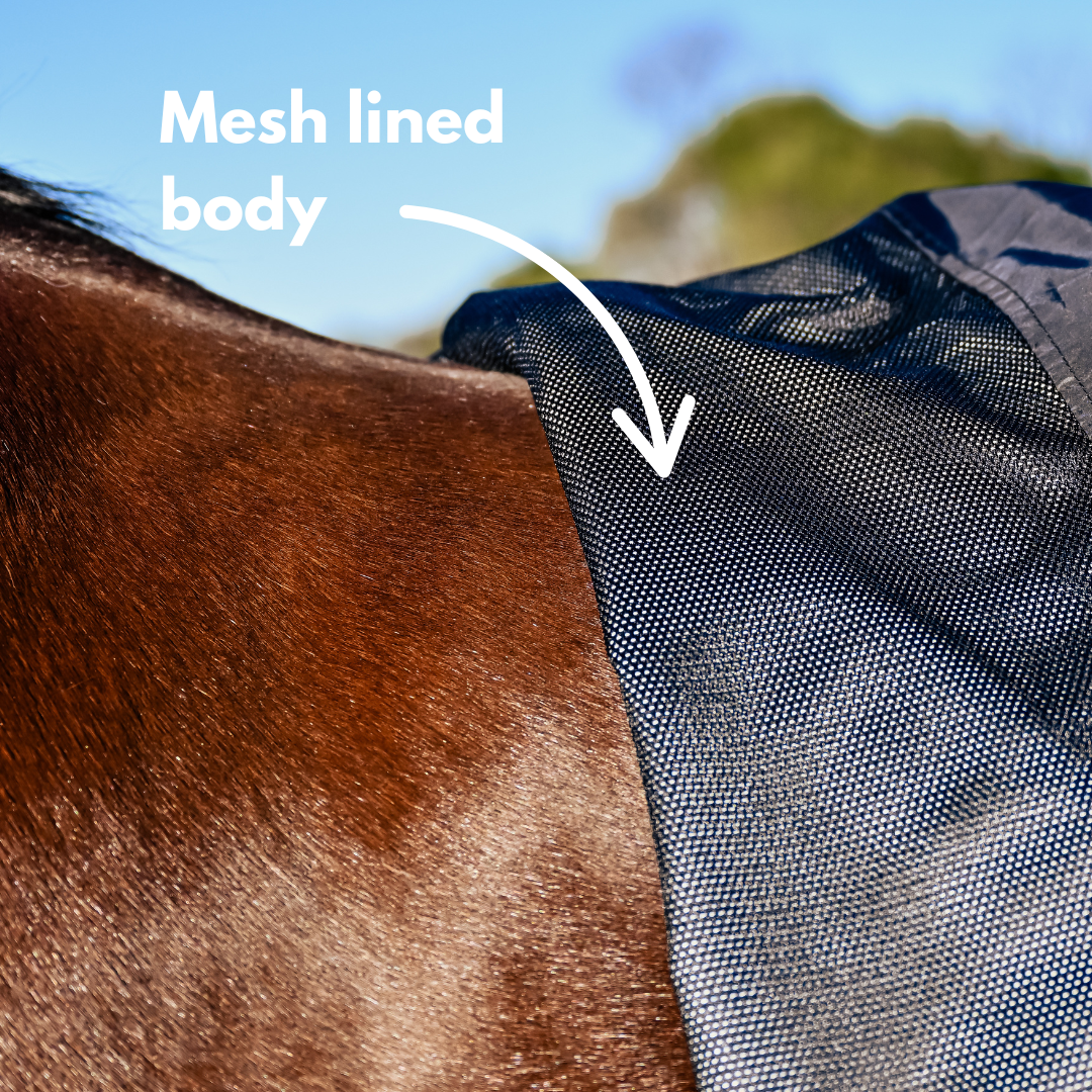 AE StormShield 0g Detachable Neck Rainsheet Combo - Active Equine