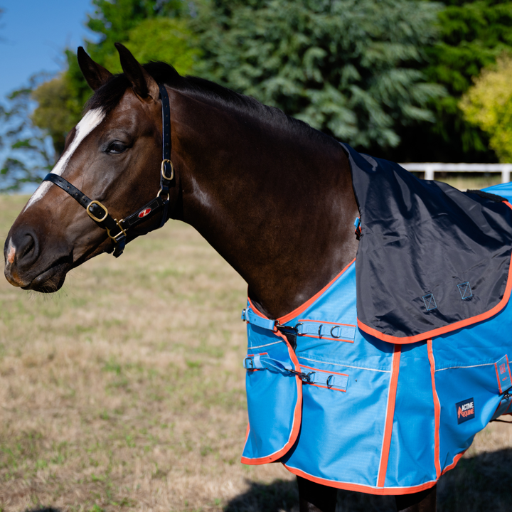AE StormShield 0g Detachable Neck Rainsheet Combo - Active Equine