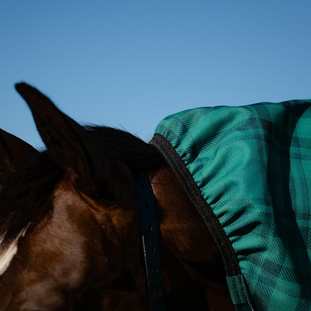 AE Freedom Detach-a-neck Combo 0g Rainsheet - Active Equine