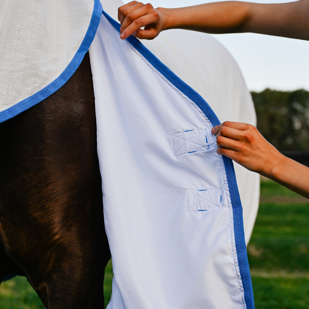 AE Deluxe Ripstop Flag Combo Horse Rug