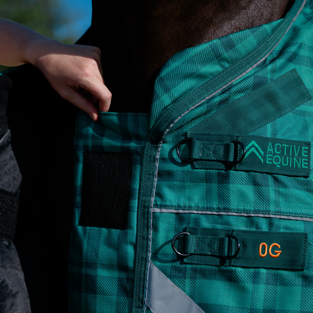 AE Freedom Detach-a-neck Combo 0g Rainsheet - Active Equine