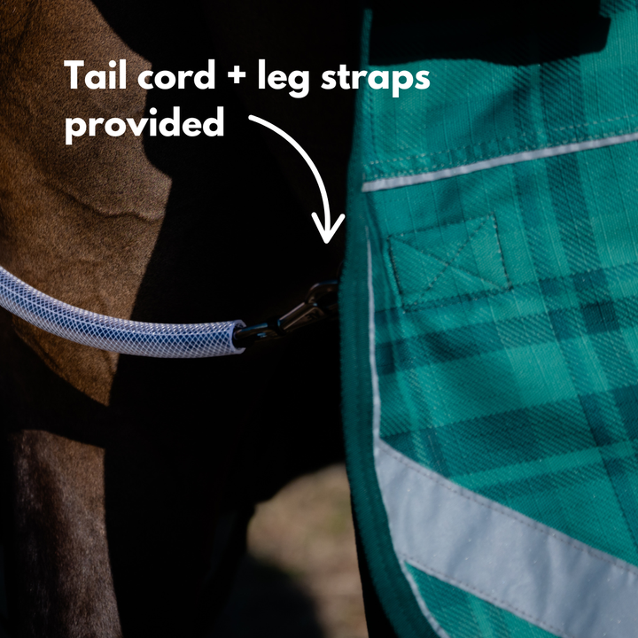 AE Freedom Detach-a-neck Combo 0g Rainsheet - Active Equine