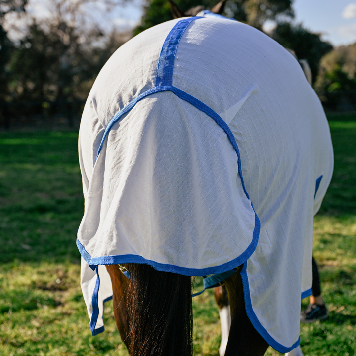 AE Deluxe Ripstop Flag Combo Horse Rug