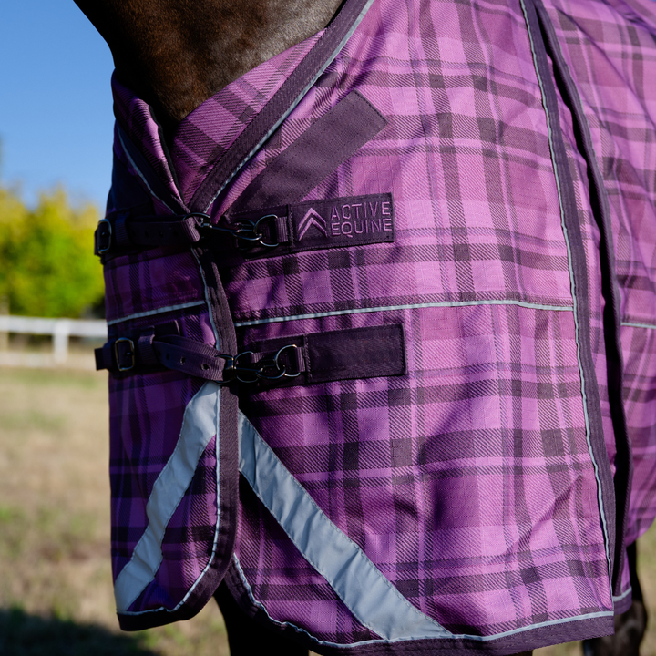 AE Freedom Detach-a-neck Combo 50g - Active Equine