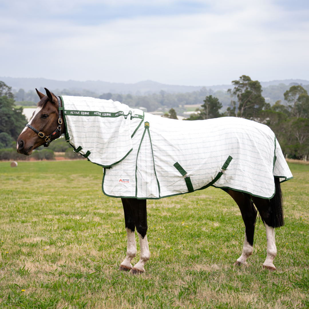 AE Deluxe High Gusset Detachable Neck Ripstop Combo