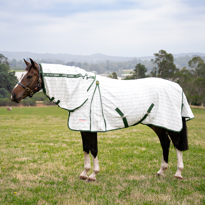 AE Deluxe High Gusset Detachable Neck Ripstop Combo