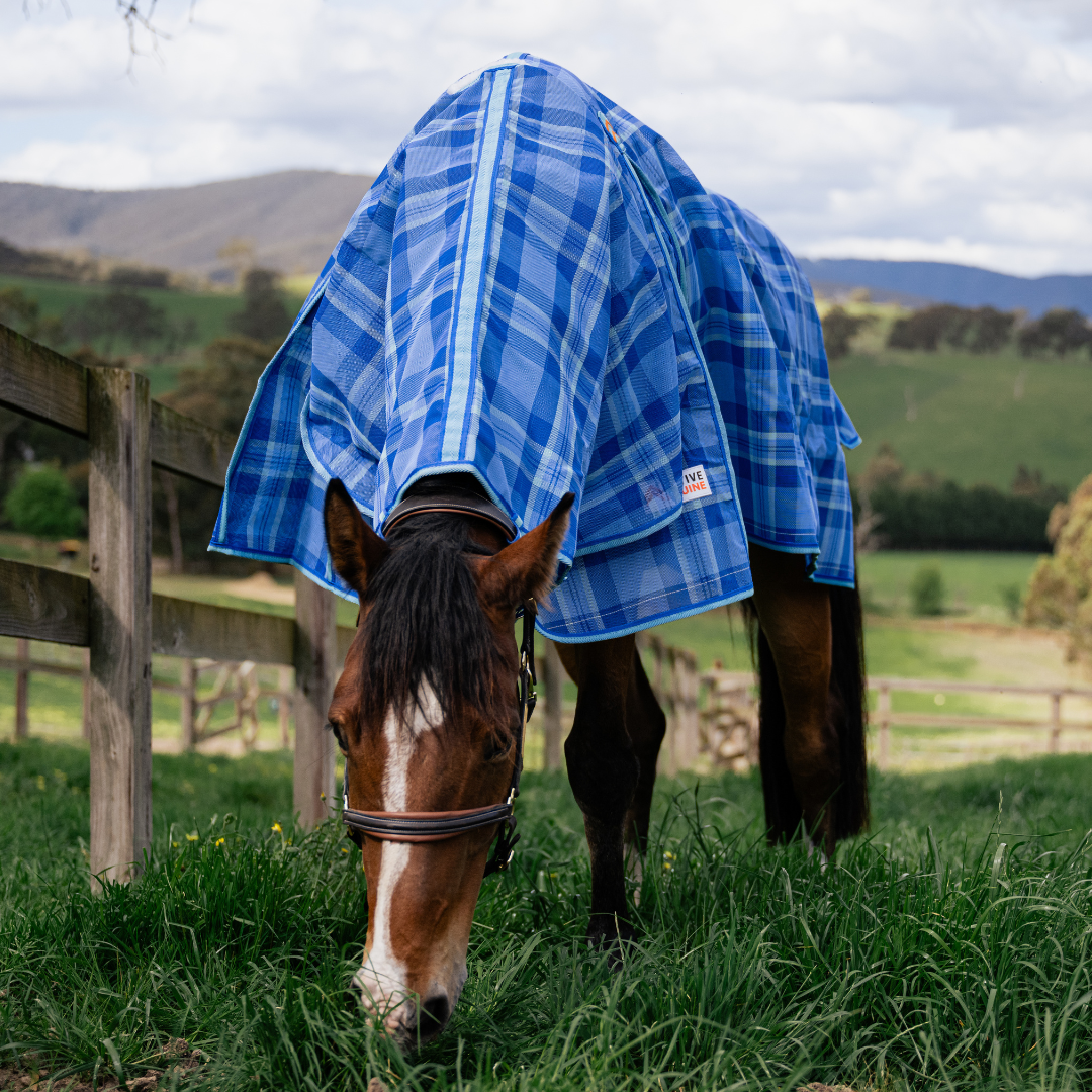 PVC Shade Mesh Combo Horse Rug