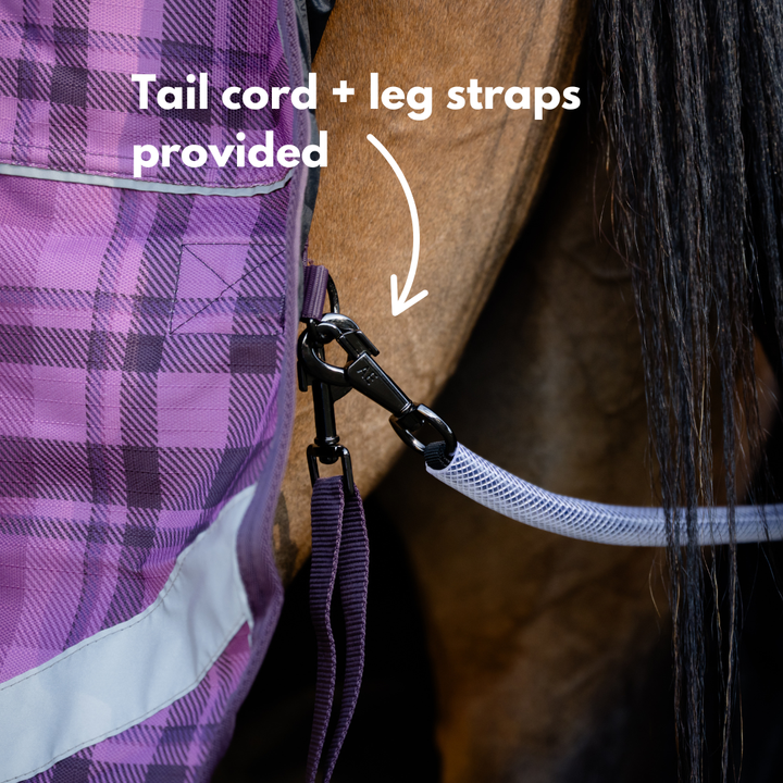 AE Freedom Detach-a-neck Combo 50g - Active Equine