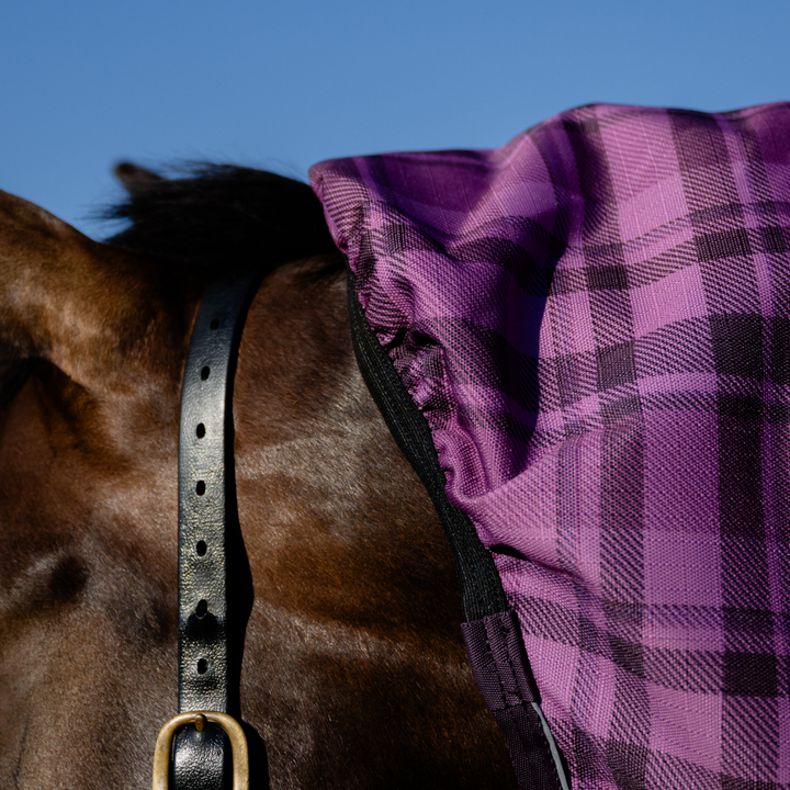 AE Freedom Detach-a-neck Combo 50g - Active Equine