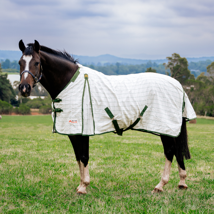 AE Deluxe High Gusset Detachable Neck Ripstop Combo