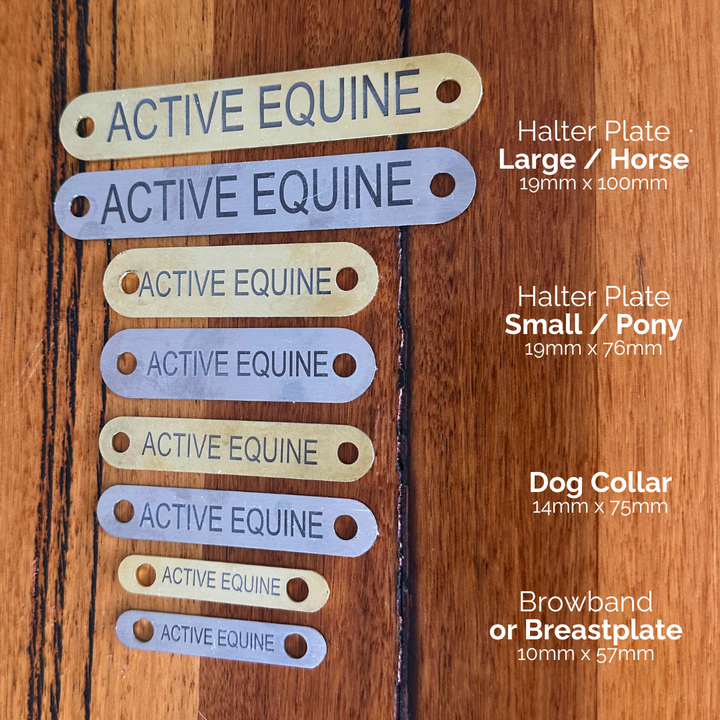 Engraved Halter Name Plate (small)