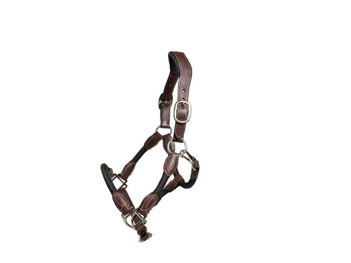Syd Hill Marla Combo Halter - Active Equine