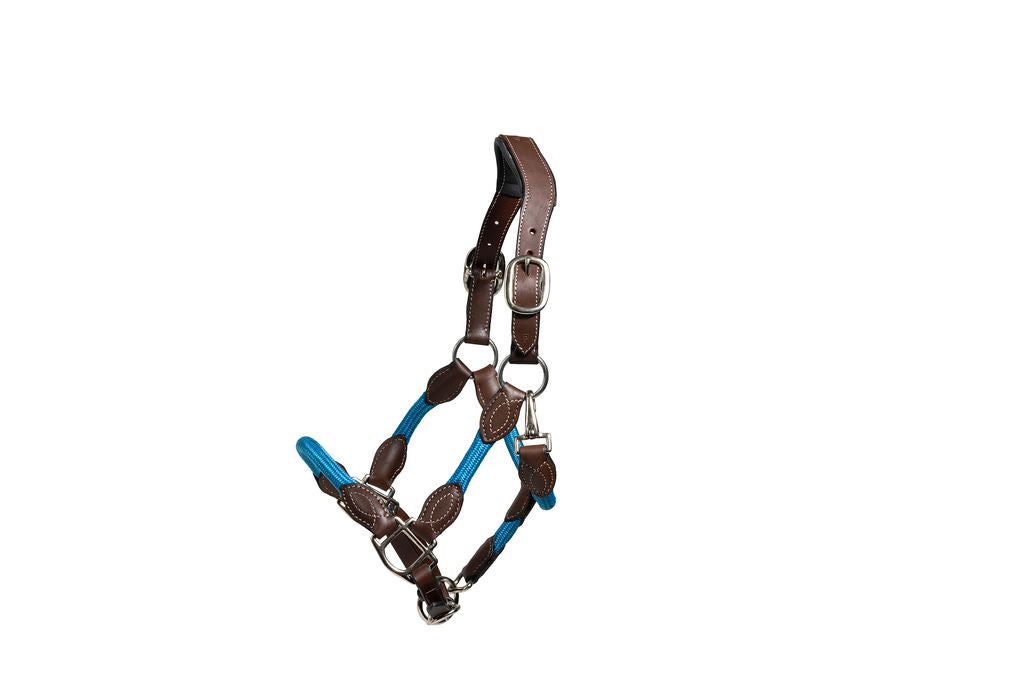 Syd Hill Marla Combo Halter - Active Equine