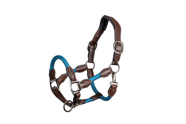 Syd Hill Marla Combo Halter - Active Equine