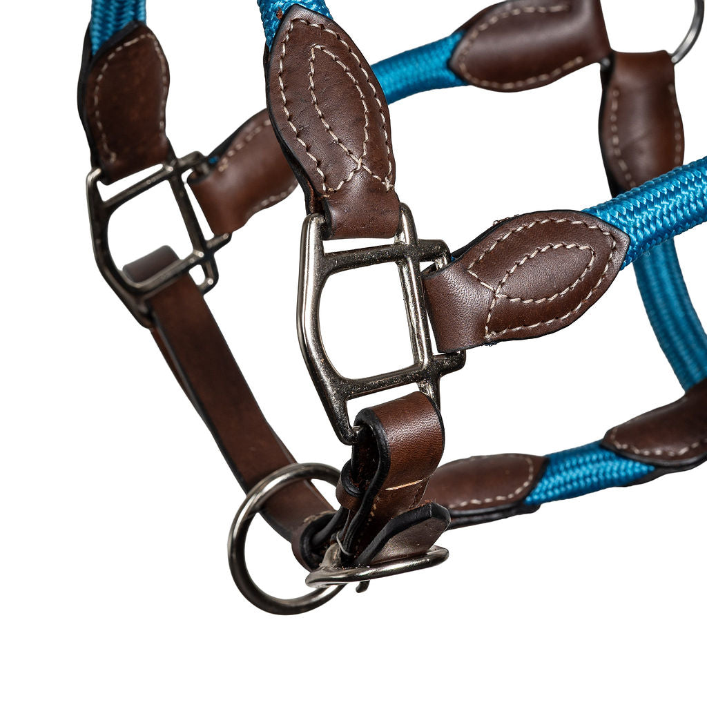 Syd Hill Marla Combo Halter - Active Equine
