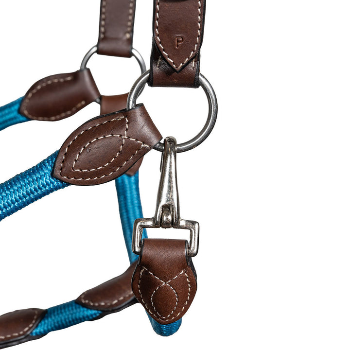 Syd Hill Marla Combo Halter - Active Equine