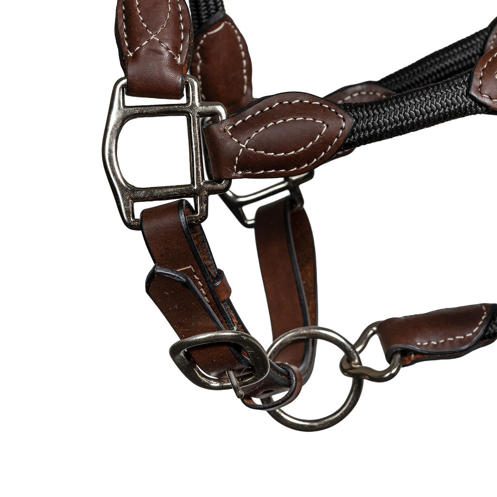 Syd Hill Marla Combo Halter - Active Equine