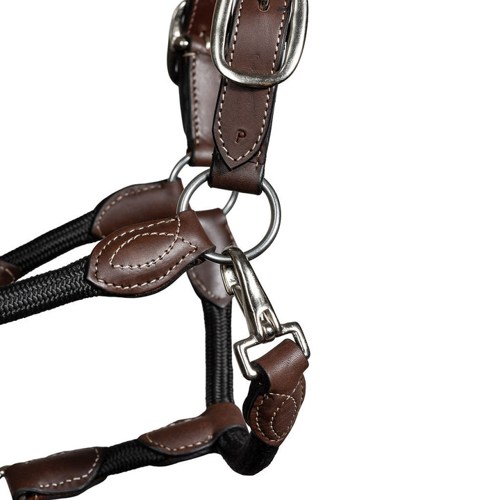 Syd Hill Marla Combo Halter - Active Equine