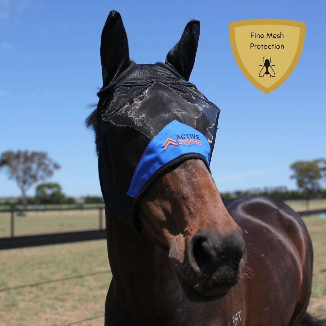 AE Deluxe Fine Mesh Fly Mask (with ears) - Active Equine