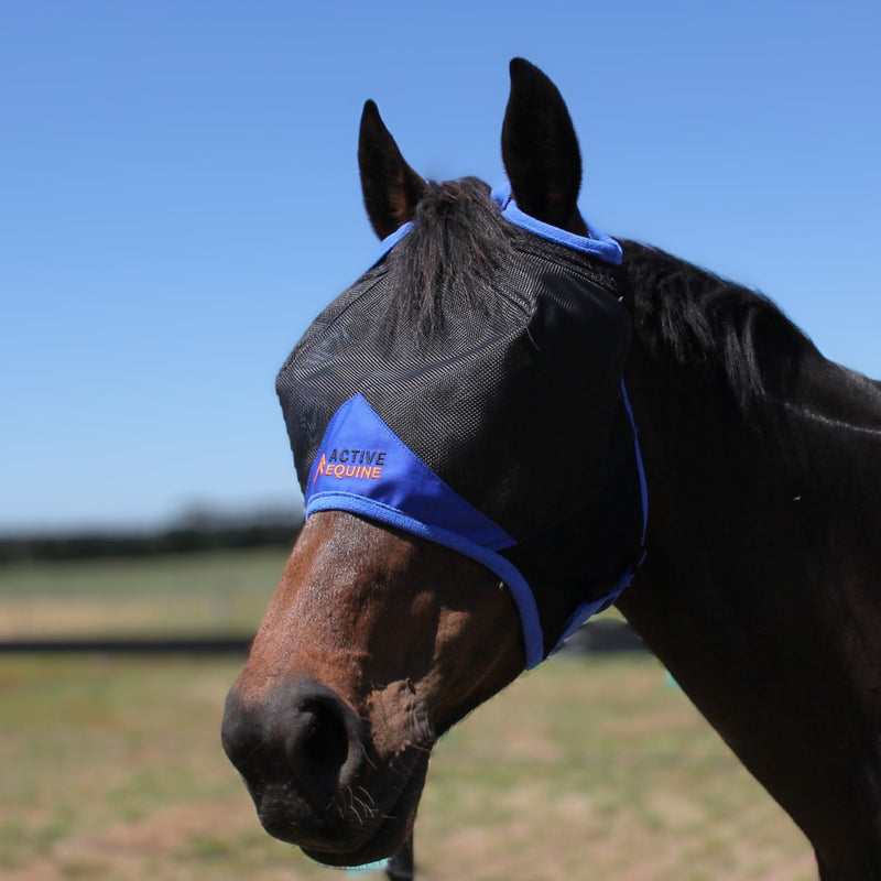 AE Deluxe Fly Mask - Active Equine