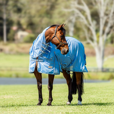 AE Deluxe Mesh Combo - Active Equine