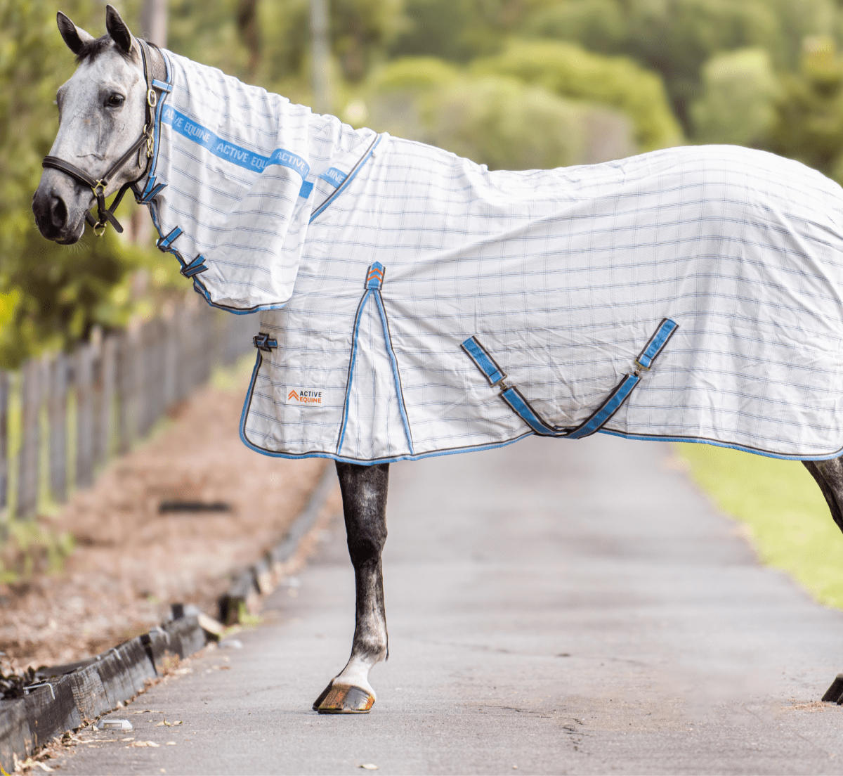 AE Deluxe Ripstop Combo - Active Equine